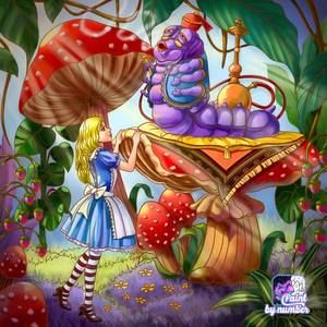 Meet your Posher, Rodney